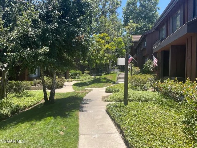 a view of a yard with plants and large trees