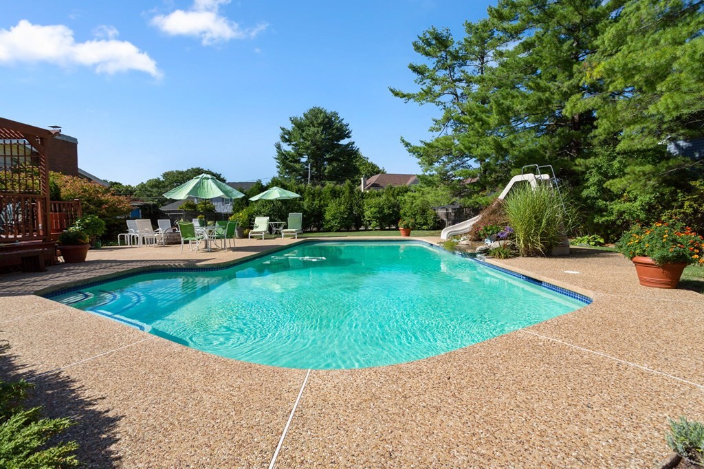 75 Rachel Road Newton, MA 02459 - Photo 3 of 37