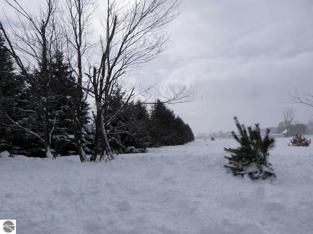 977 Bendon Road Interlochen, MI 49643 - Photo 6 of 7 1795538-5.JPG