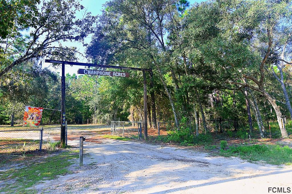 8376 Lilly Lake Road Melrose, FL 32666 - Photo 3 of 49 Gallery Image 3