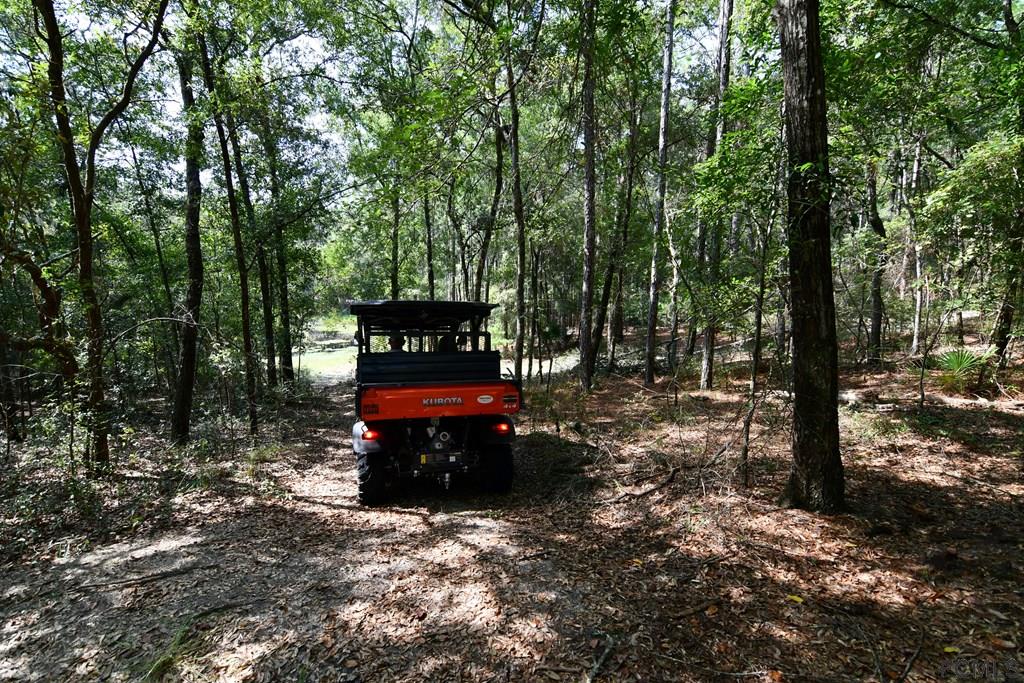 8376 Lilly Lake Road Melrose, FL 32666 - Photo 34 of 49 Gallery Image 34