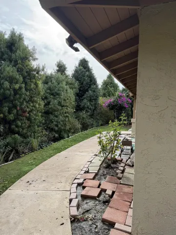 a view of backyard with plants and outdoor seating