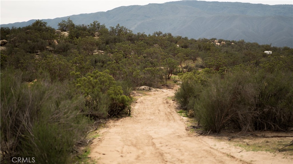 0 Aguanga Ranchos Road Aguanga, CA 92536 - Photo 25 of 25 a view of a yard with a tree