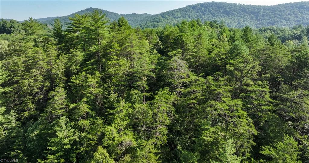 Tbd Boone Trail Purlear, NC 28665 - Photo 11 of 45
