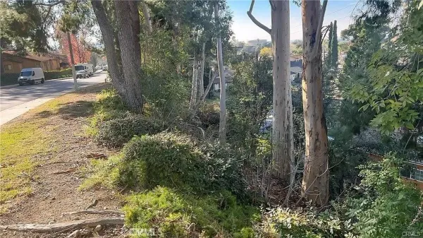 a view of backyard with green space
