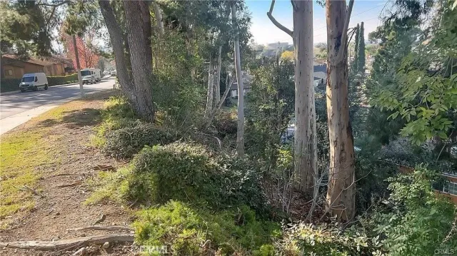 a view of backyard with green space