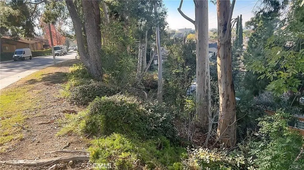 0 Harvestmoon La Puente, CA 91744 - Photo 11 of 14 a view of a forest filled with trees