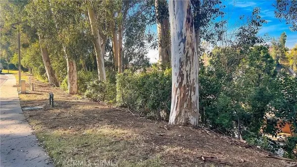 a view of backyard with green space