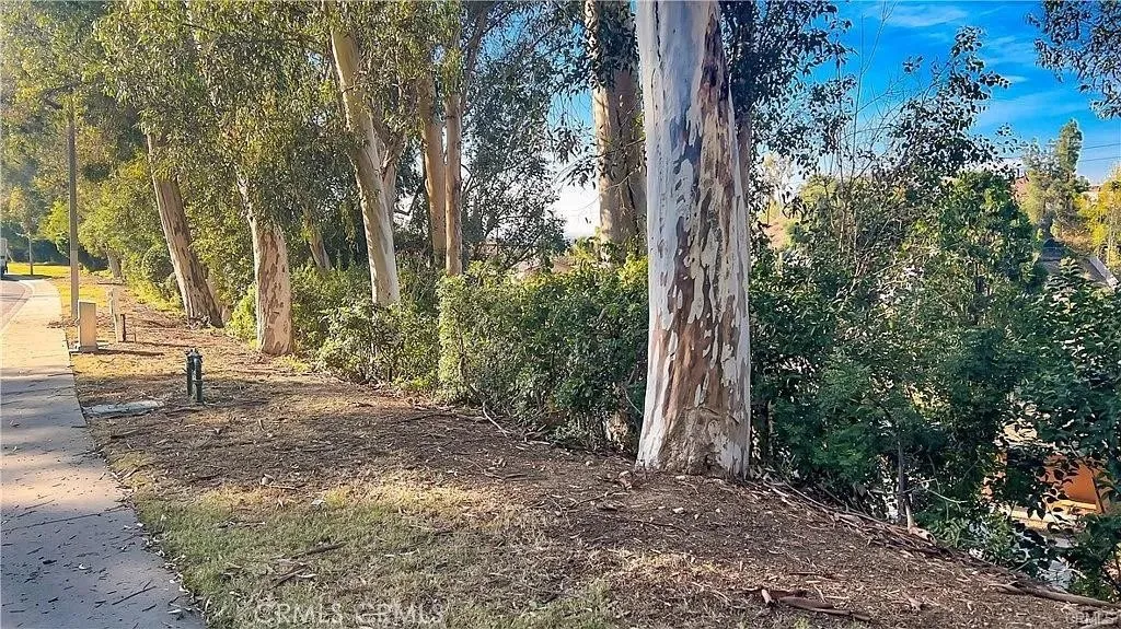 0 Harvestmoon La Puente, CA 91744 - Photo 12 of 14 a view of backyard with green space