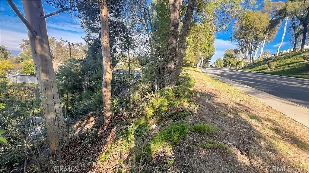 0 Harvestmoon La Puente, CA 91744 - Photo 8 of 14 a view of a yard with plants and trees