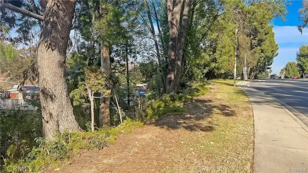 a view of a forest filled with trees