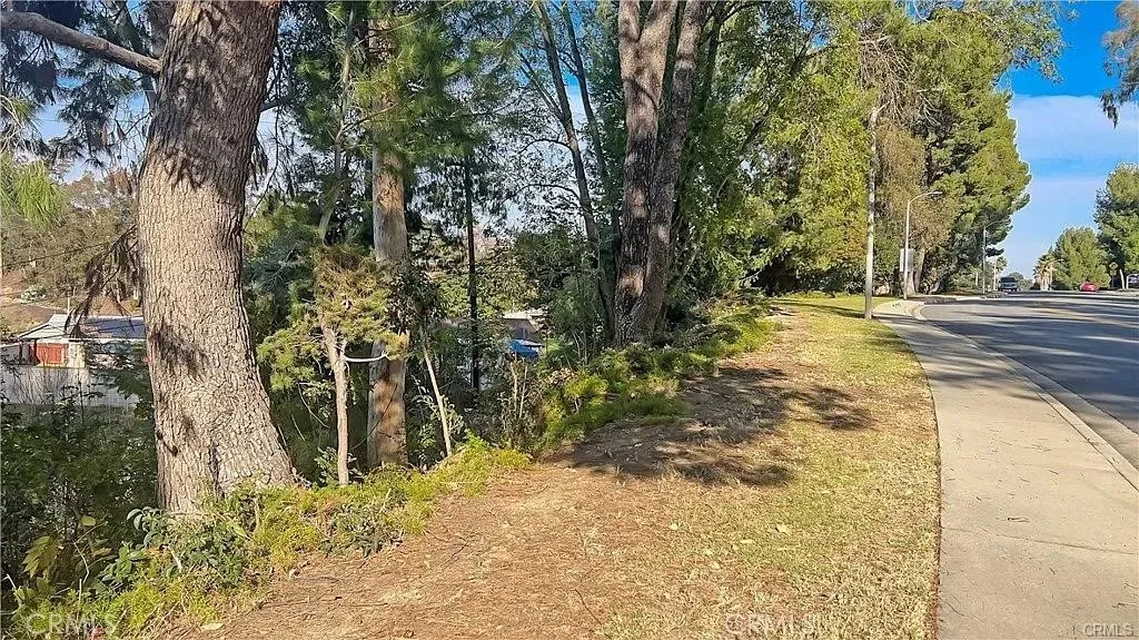 0 Harvestmoon La Puente, CA 91744 - Photo 10 of 14 a view of a yard with plants and trees