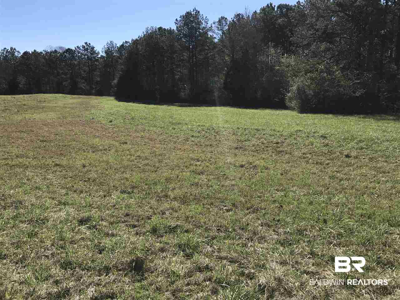 1478 Ridge Road Greenville, AL 36037 - Photo 27 of 50