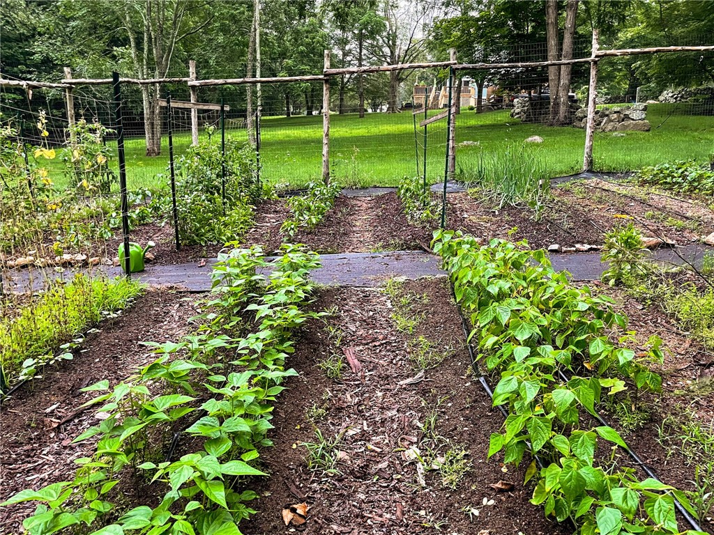 211 Chase Hill Road Hopkinton, RI 02804 - Photo 37 of 50