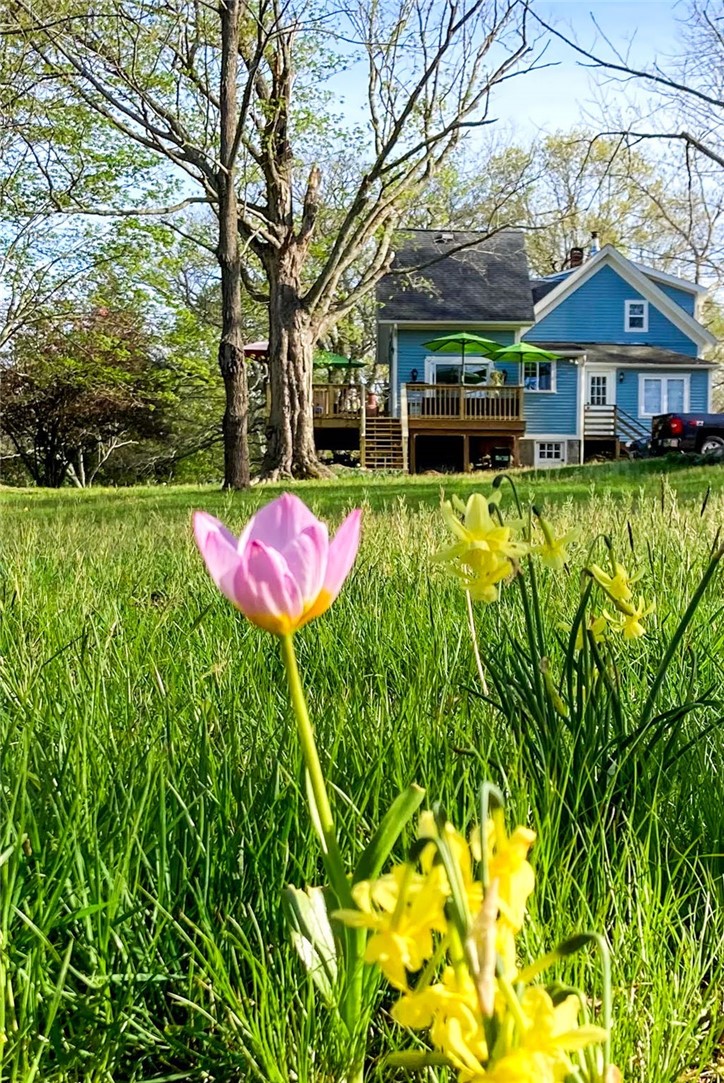 211 Chase Hill Road Hopkinton, RI 02804 - Photo 39 of 50