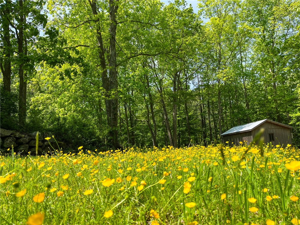 211 Chase Hill Road Hopkinton, RI 02804 - Photo 43 of 50