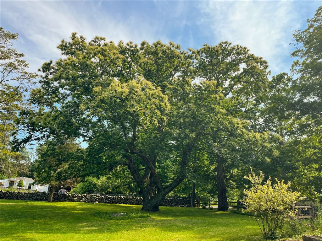 211 Chase Hill Road Hopkinton, RI 02804 - Photo 46 of 50