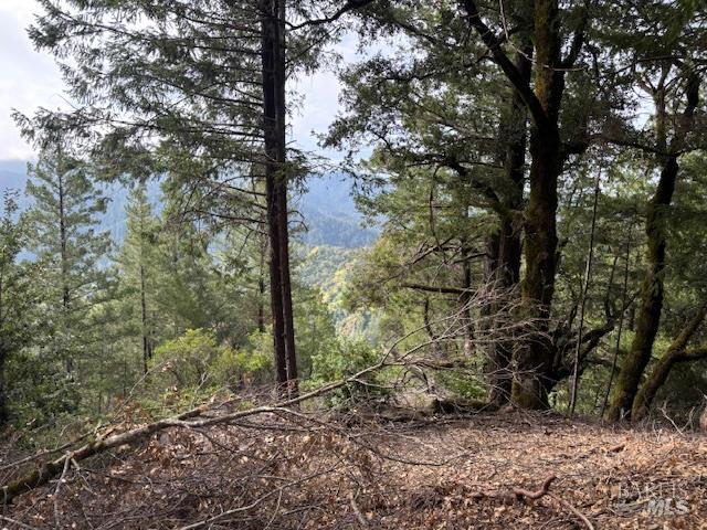 17707 Rockpile Road Geyserville, CA 95441 - Photo 3 of 22 a backyard of a house with lots of green space