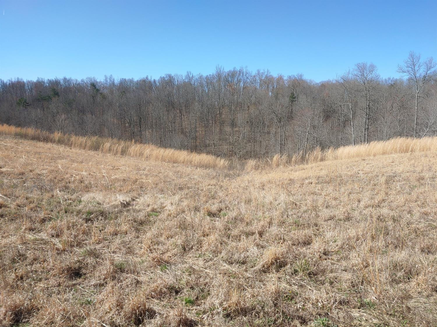 999 Pine Hill Brock Road London, KY 40741 - Photo 16 of 25 Photo 16