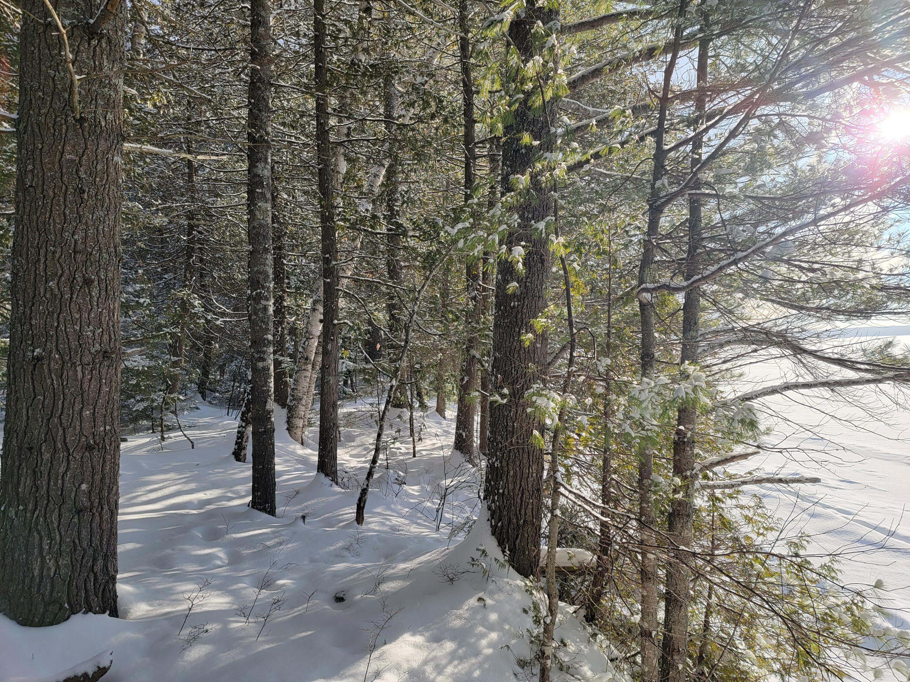 0 Railroadbed Rd Lake View Milo, ME 04463 - Photo 8 of 68 20220125_143927