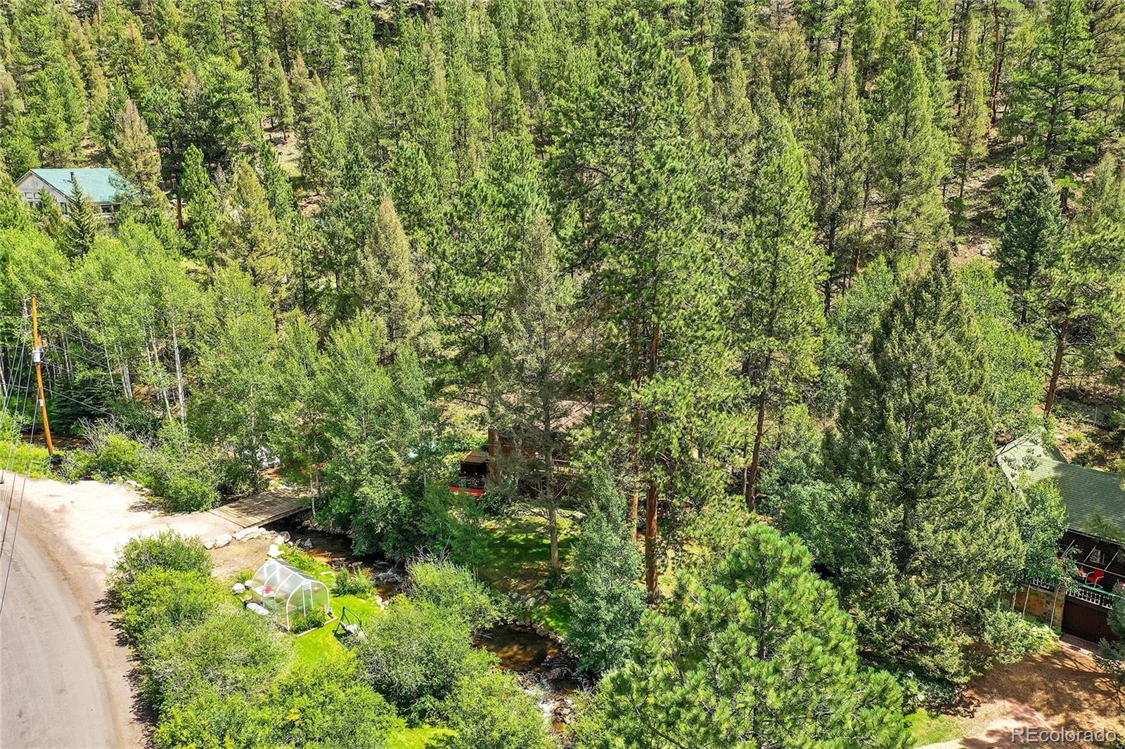 14432 South Elk Creek Road Pine, CO 80470 - Photo 47 of 50 a view of a lush green forest with lawn chairs