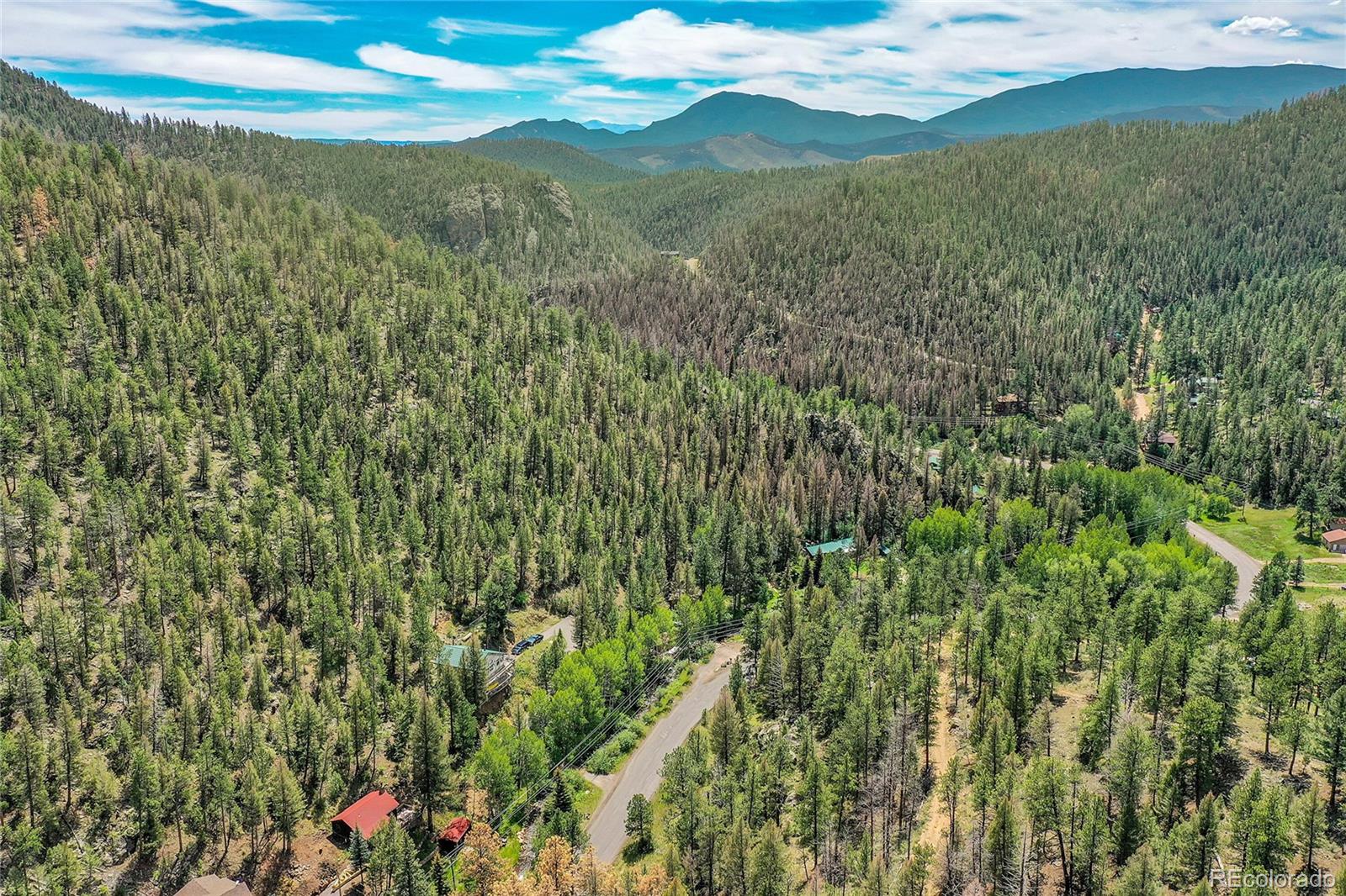 14432 South Elk Creek Road Pine, CO 80470 - Photo 48 of 50 a view of a lush green forest with a mountain