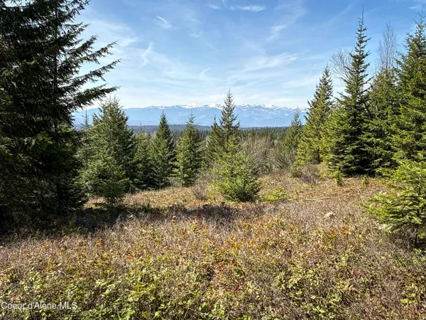 $220,000 | Nka Raven Ridge Road, Sandpoint, ID 83864