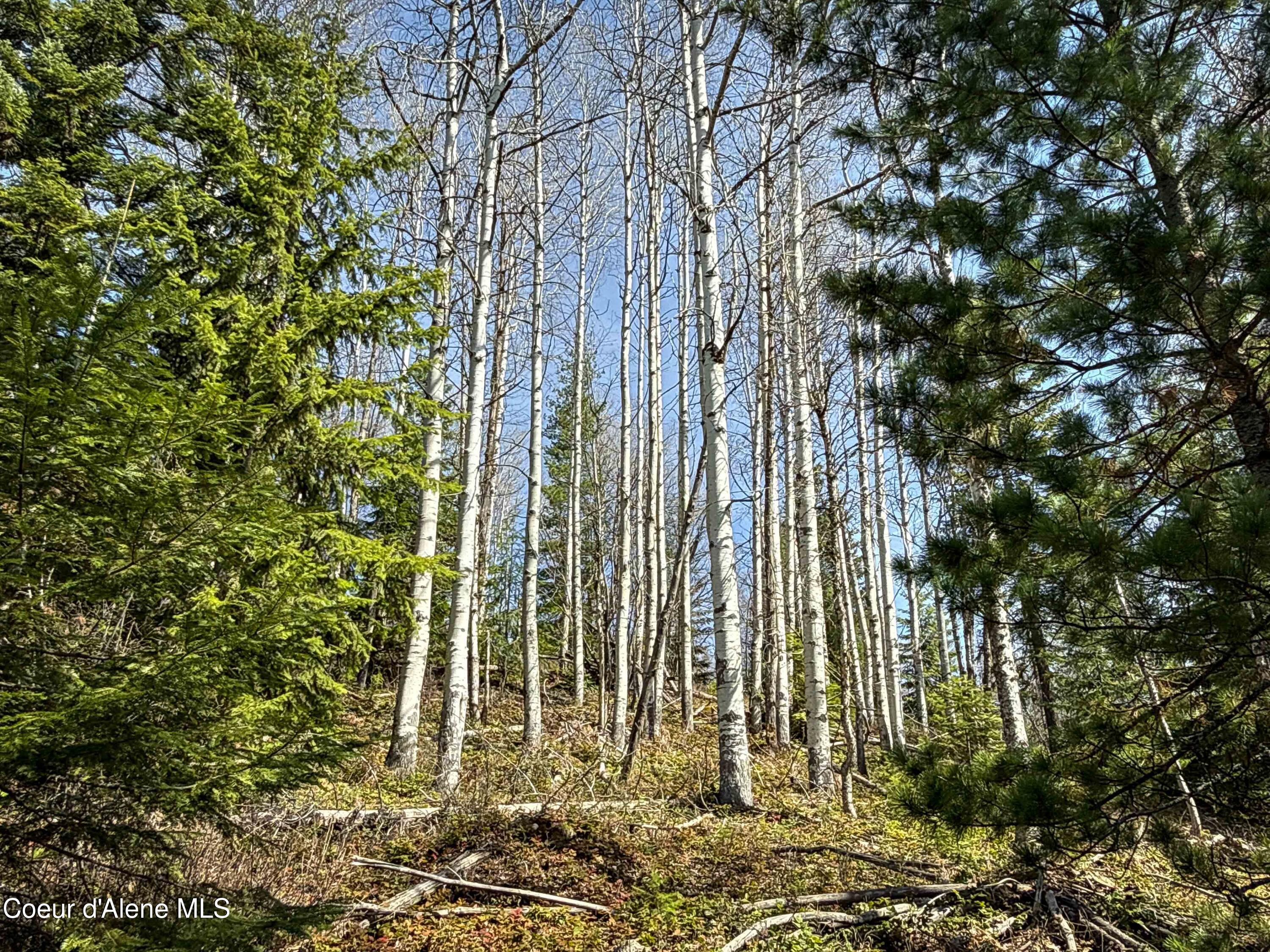 Nka Raven Ridge Road Sandpoint, ID 83864 - Photo 11 of 53 11