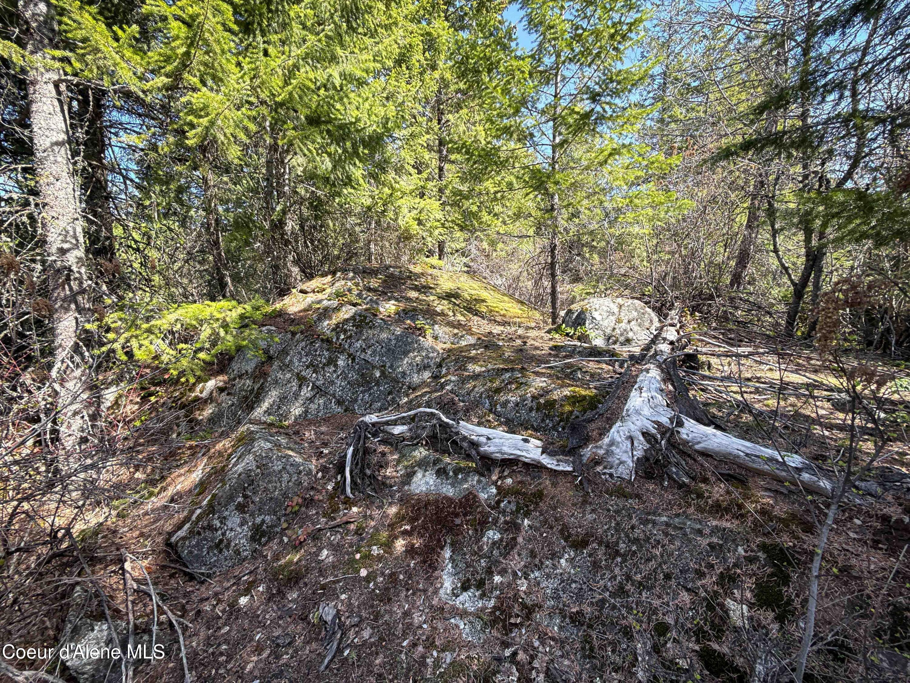 Nka Raven Ridge Road Sandpoint, ID 83864 - Photo 13 of 53 13