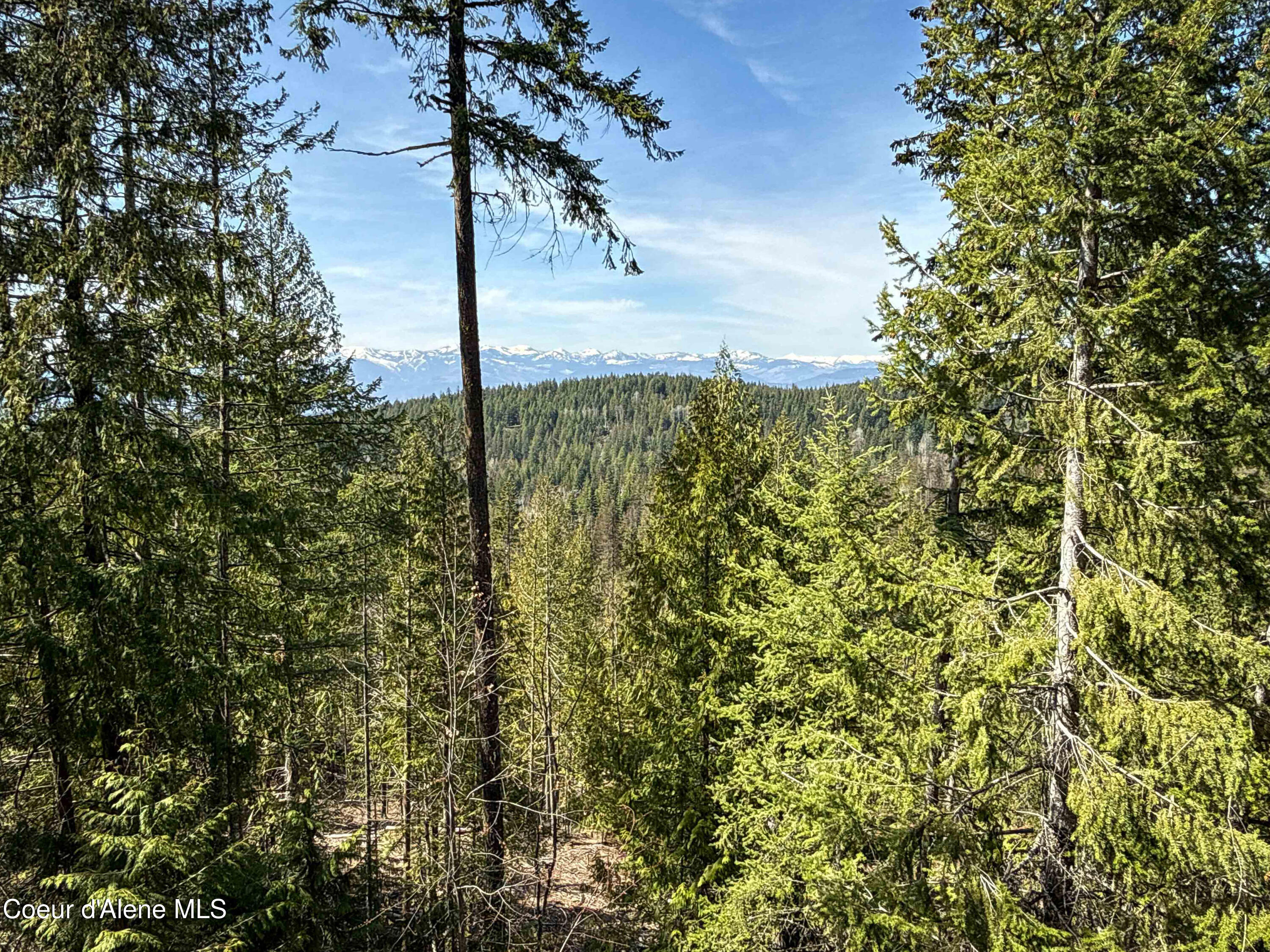 Nka Raven Ridge Road Sandpoint, ID 83864 - Photo 18 of 53 18