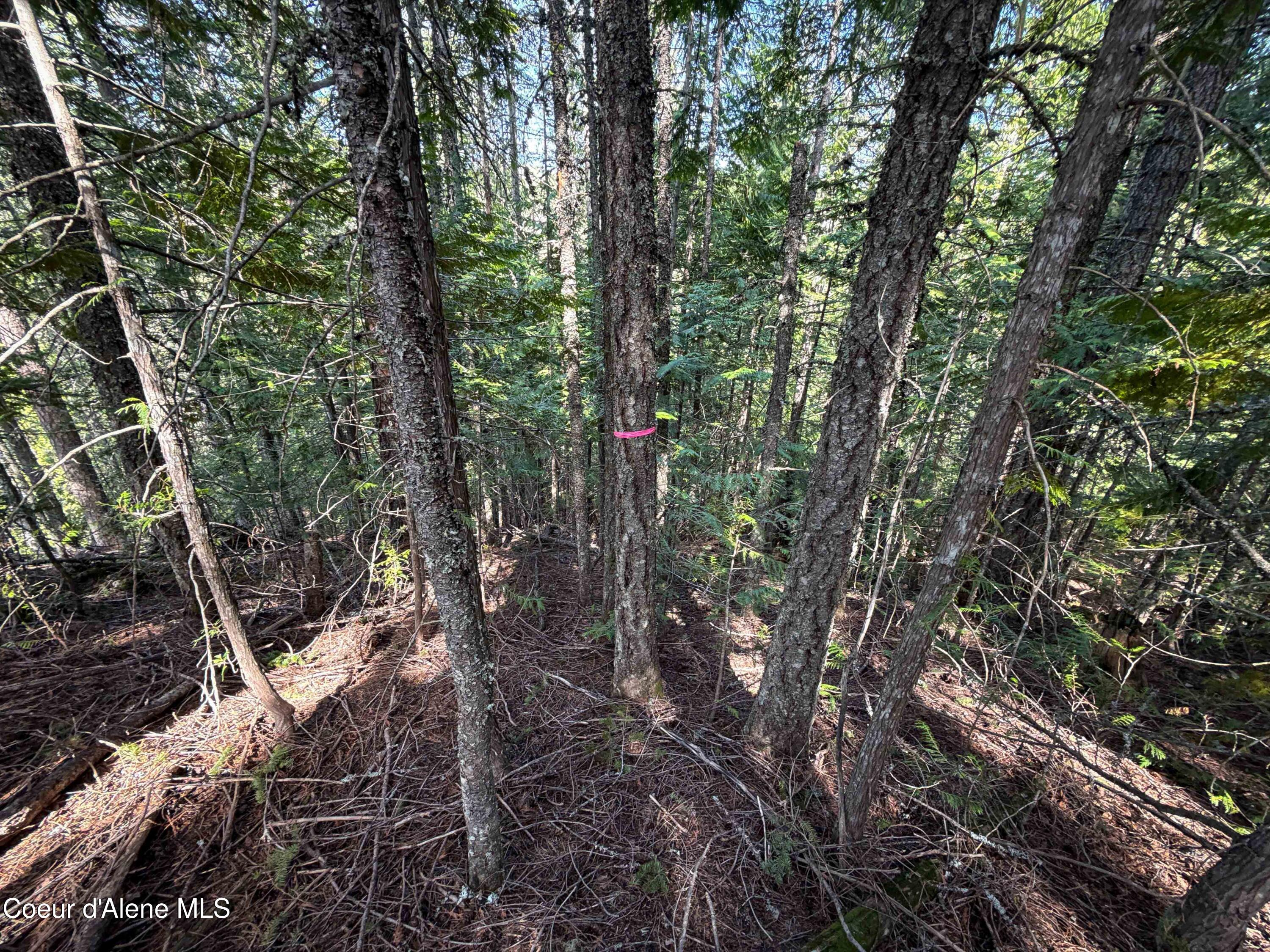 Nka Raven Ridge Road Sandpoint, ID 83864 - Photo 19 of 53 19
