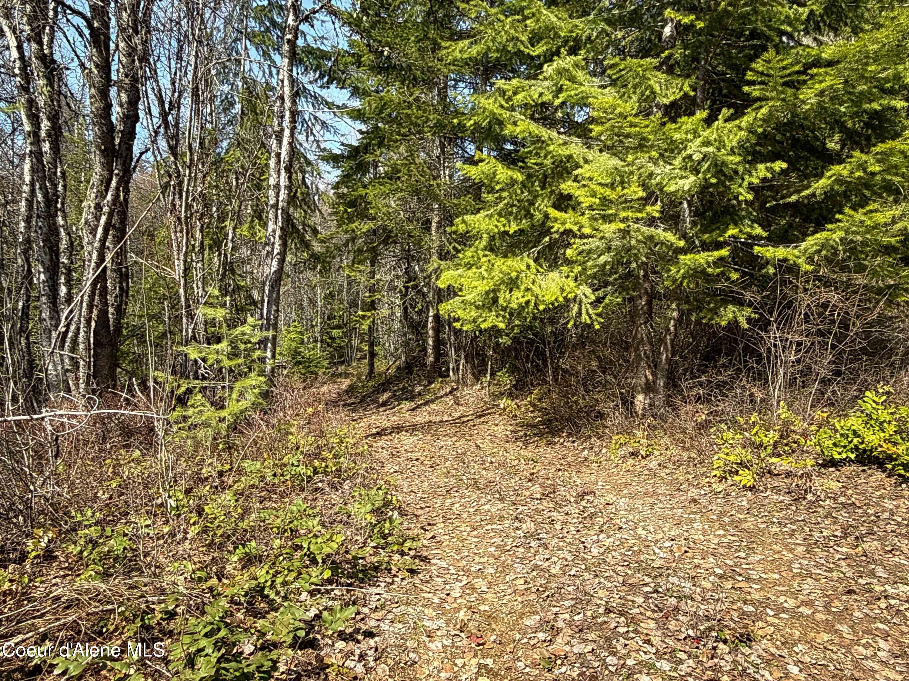 Nka Raven Ridge Road Sandpoint, ID 83864 - Photo 2 of 53 2