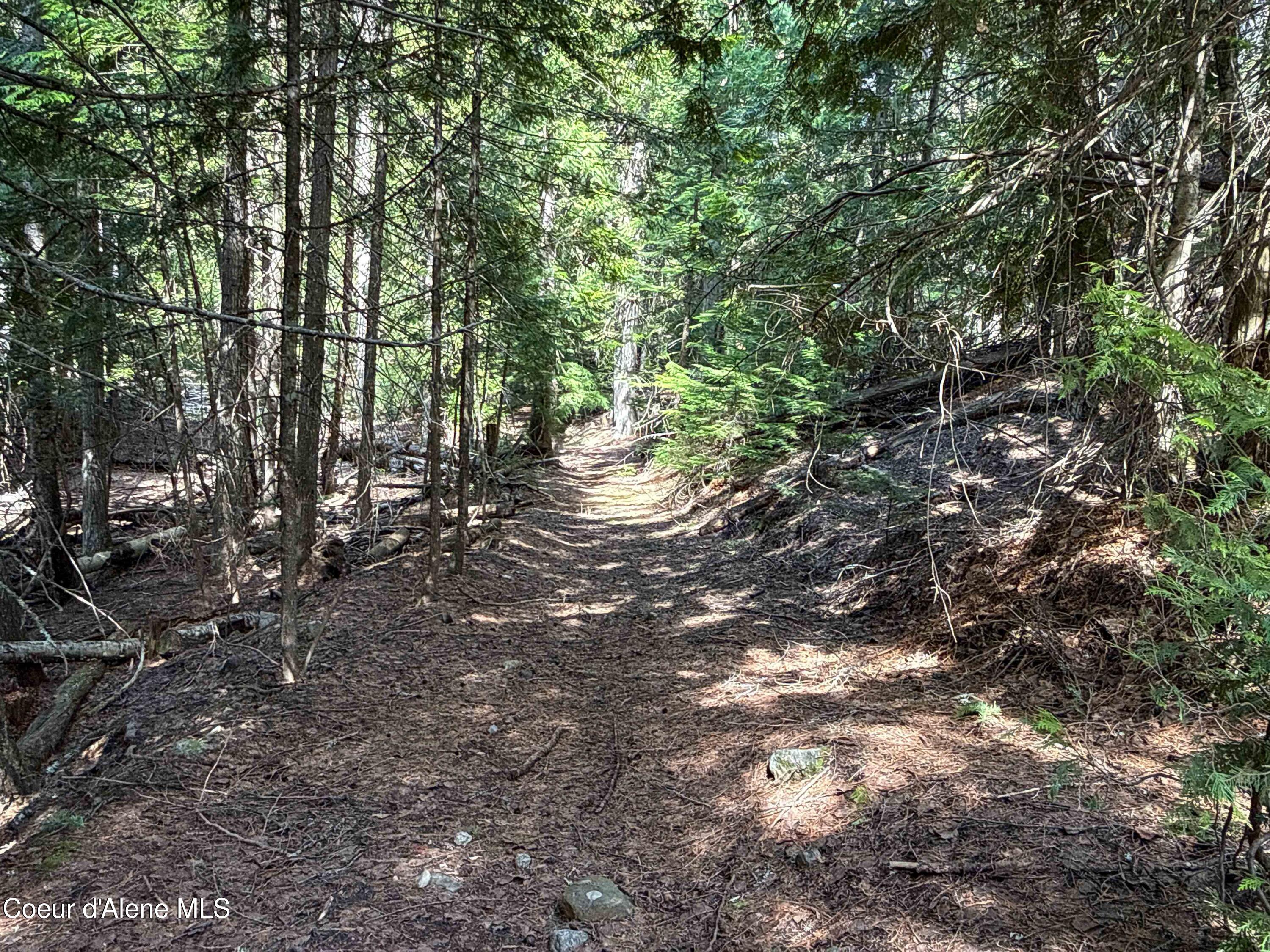 Nka Raven Ridge Road Sandpoint, ID 83864 - Photo 24 of 53 24