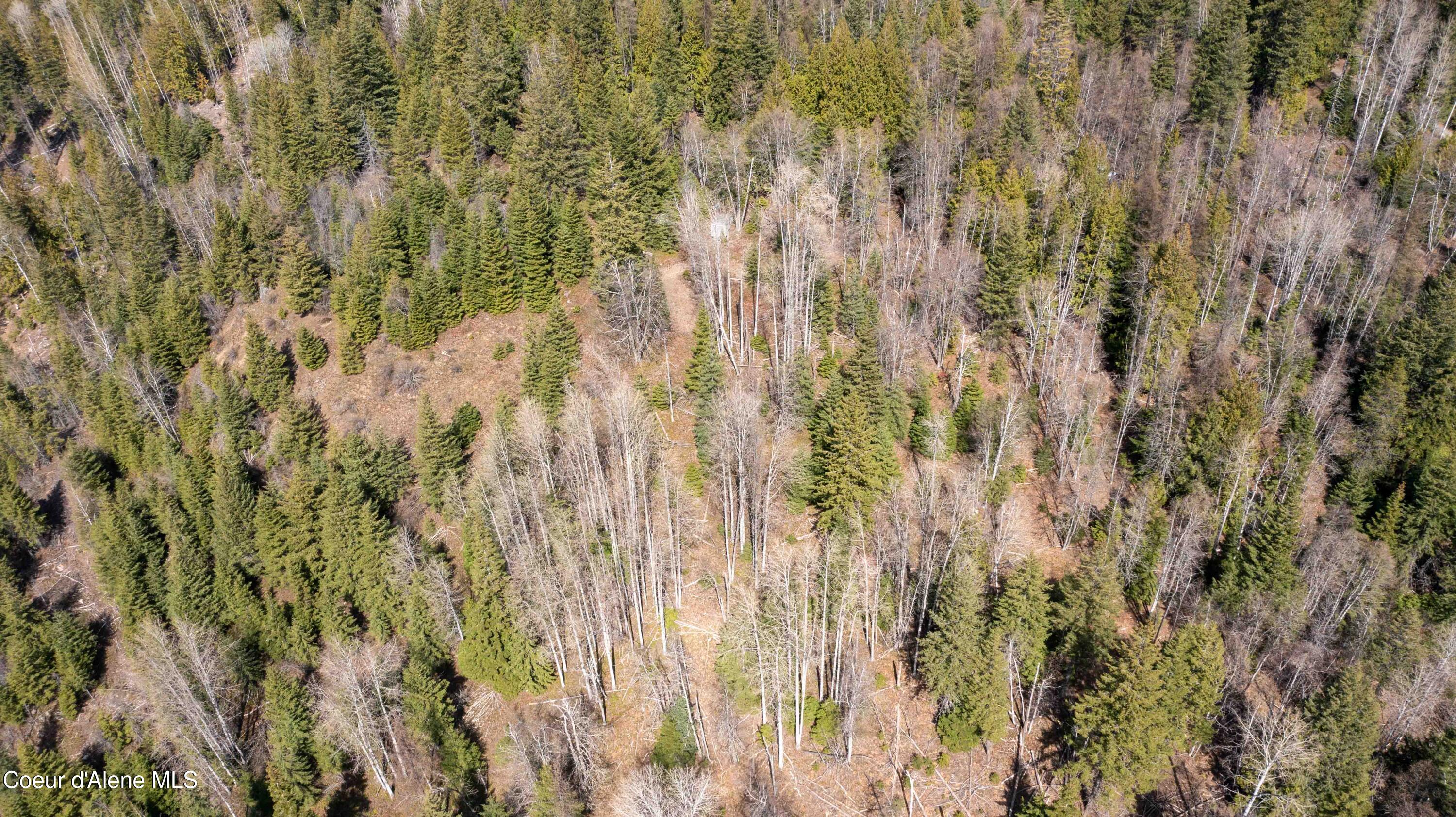 Nka Raven Ridge Road Sandpoint, ID 83864 - Photo 27 of 53 27