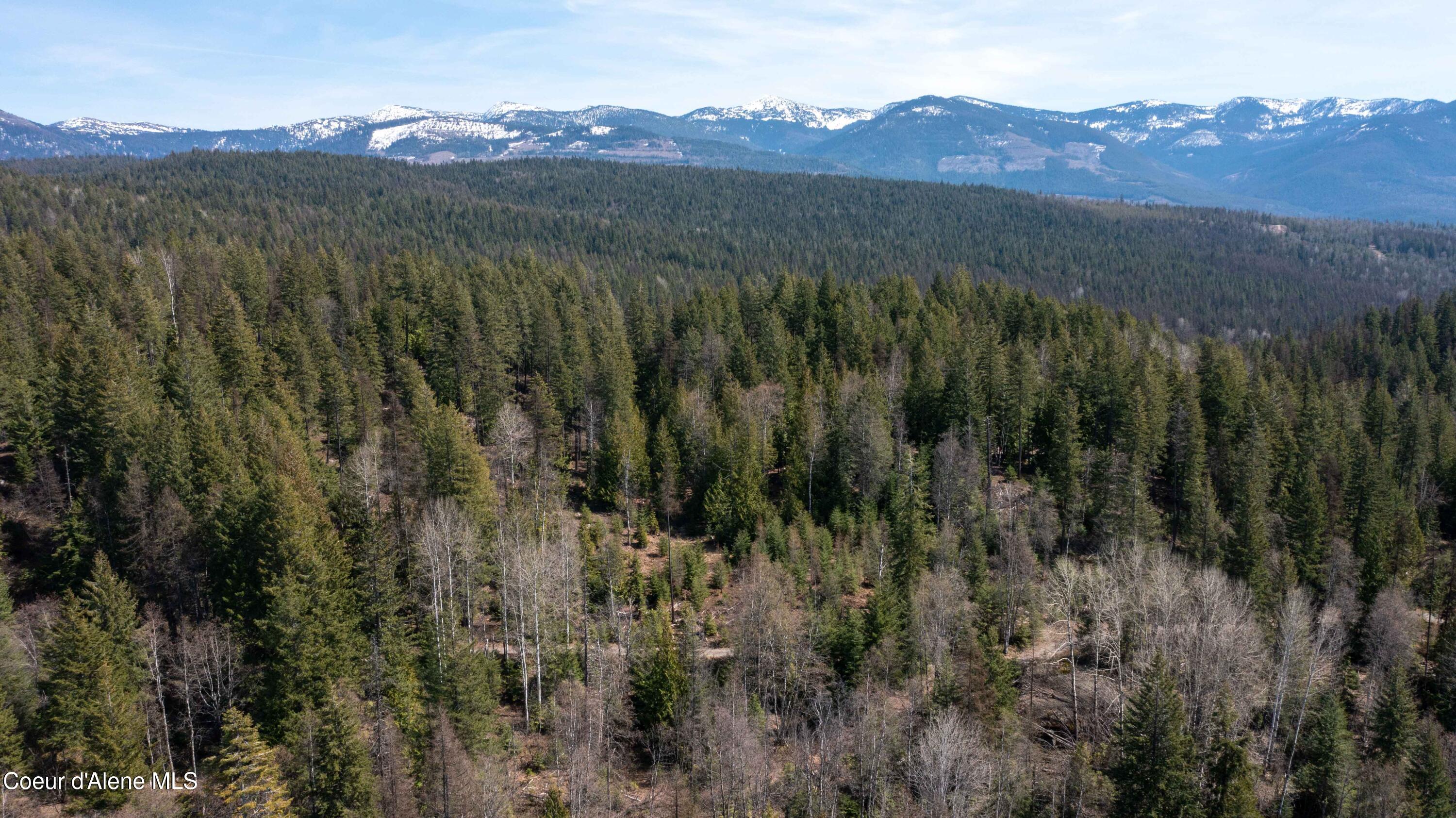 Nka Raven Ridge Road Sandpoint, ID 83864 - Photo 32 of 53 32