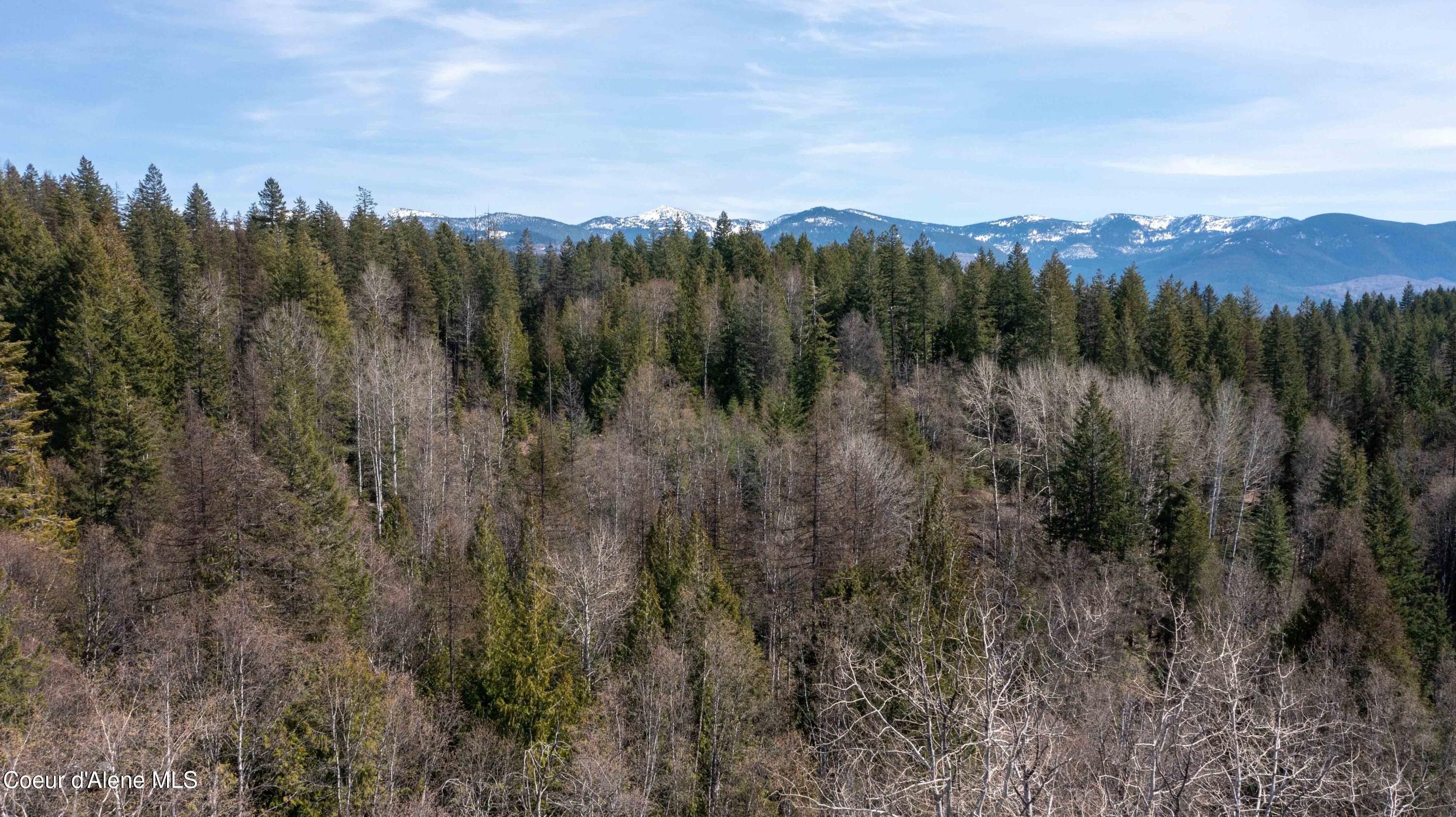 Nka Raven Ridge Road Sandpoint, ID 83864 - Photo 34 of 53 34