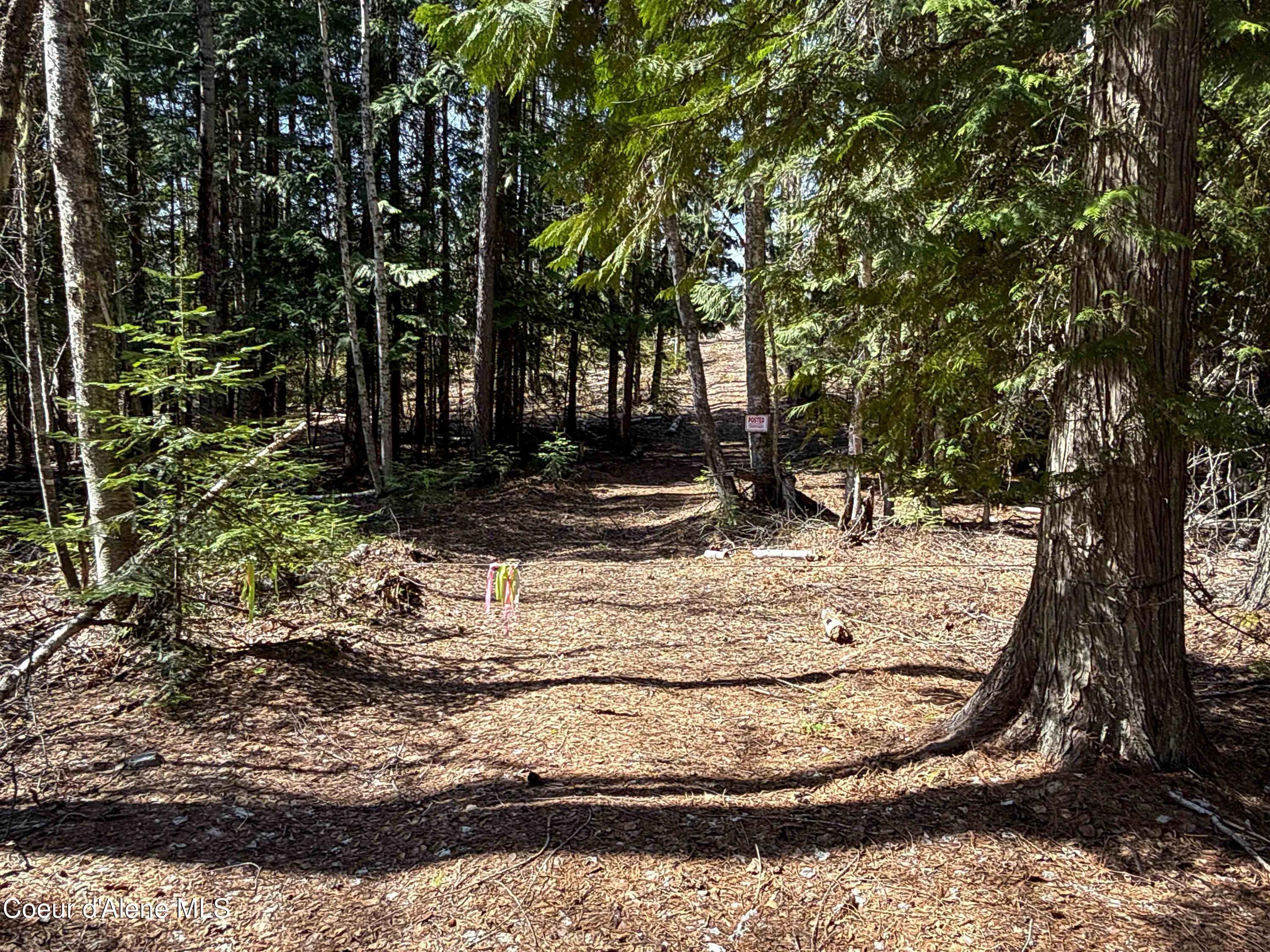 Nka Raven Ridge Road Sandpoint, ID 83864 - Photo 4 of 53 4