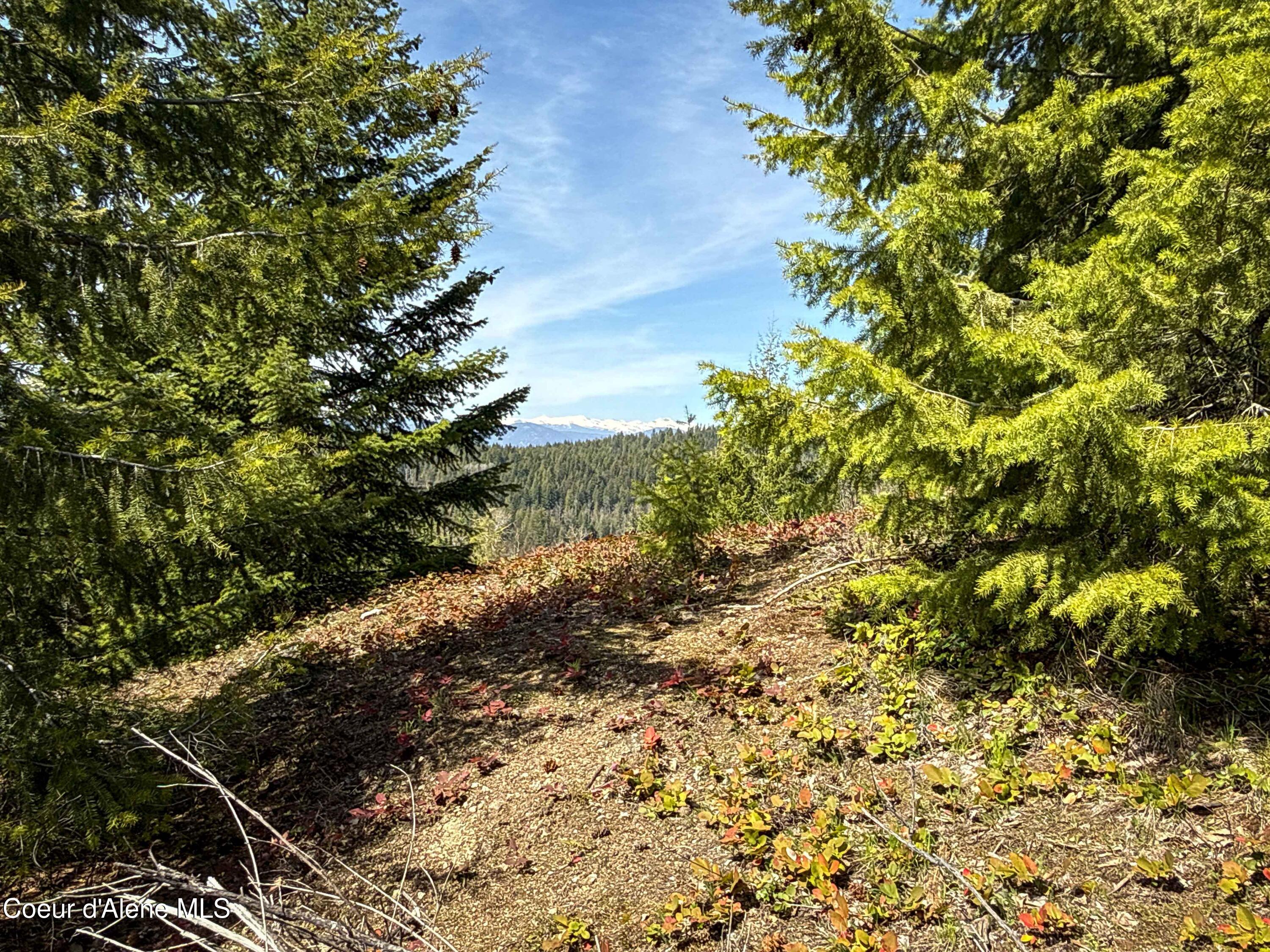 Nka Raven Ridge Road Sandpoint, ID 83864 - Photo 6 of 53 6