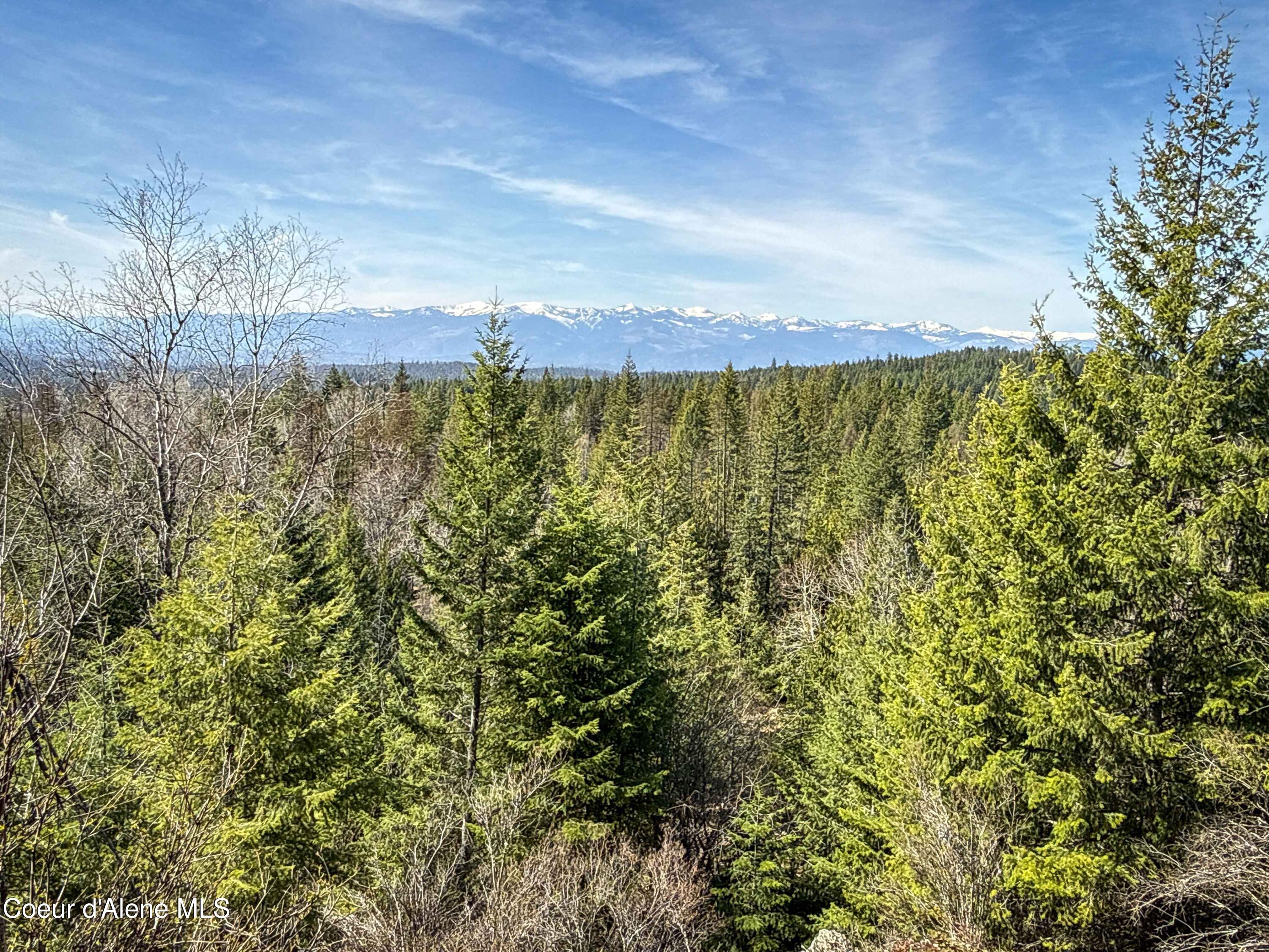 Nka Raven Ridge Road Sandpoint, ID 83864 - Photo 7 of 53 7