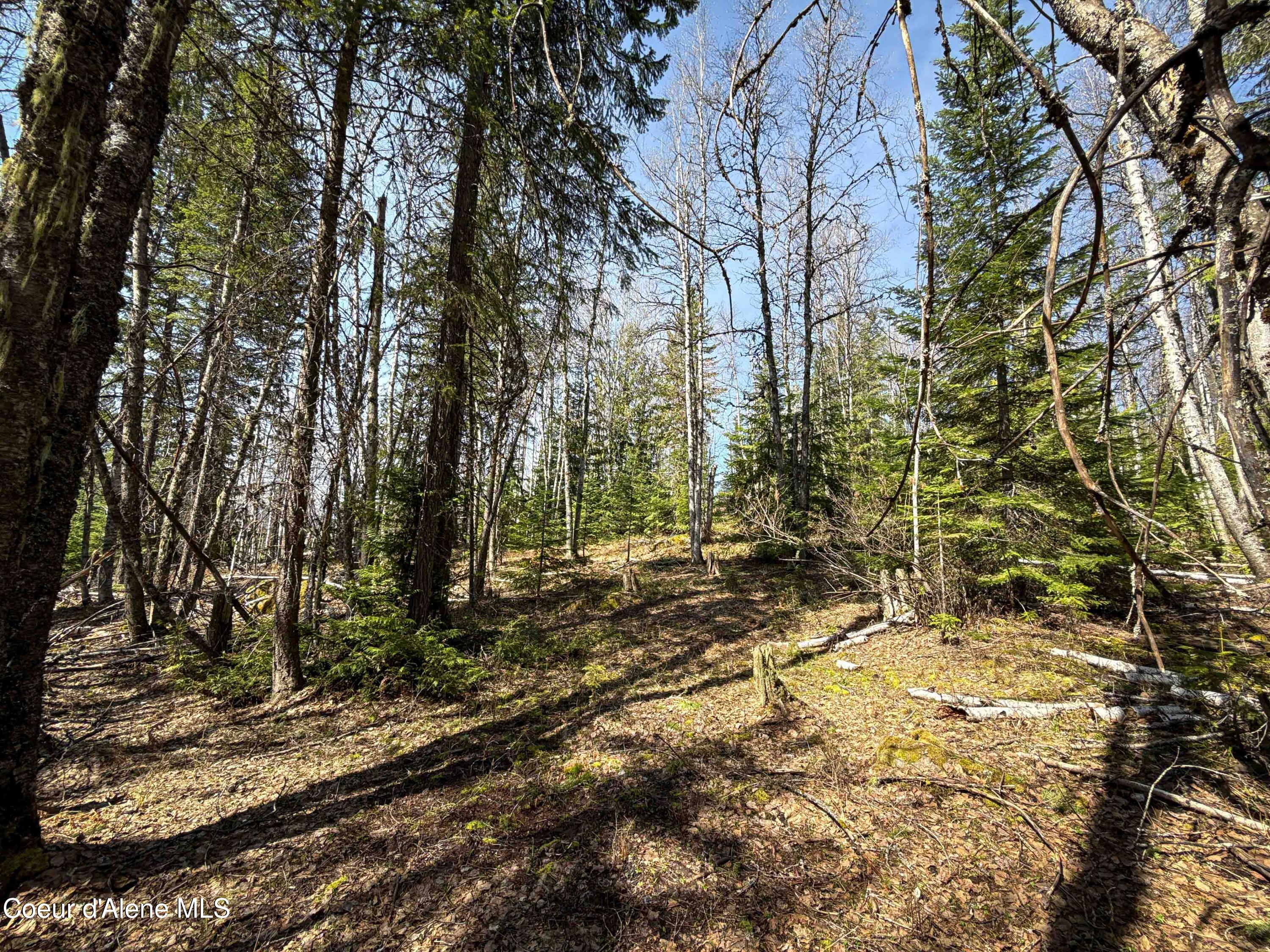 Nka Raven Ridge Road Sandpoint, ID 83864 - Photo 10 of 53 10
