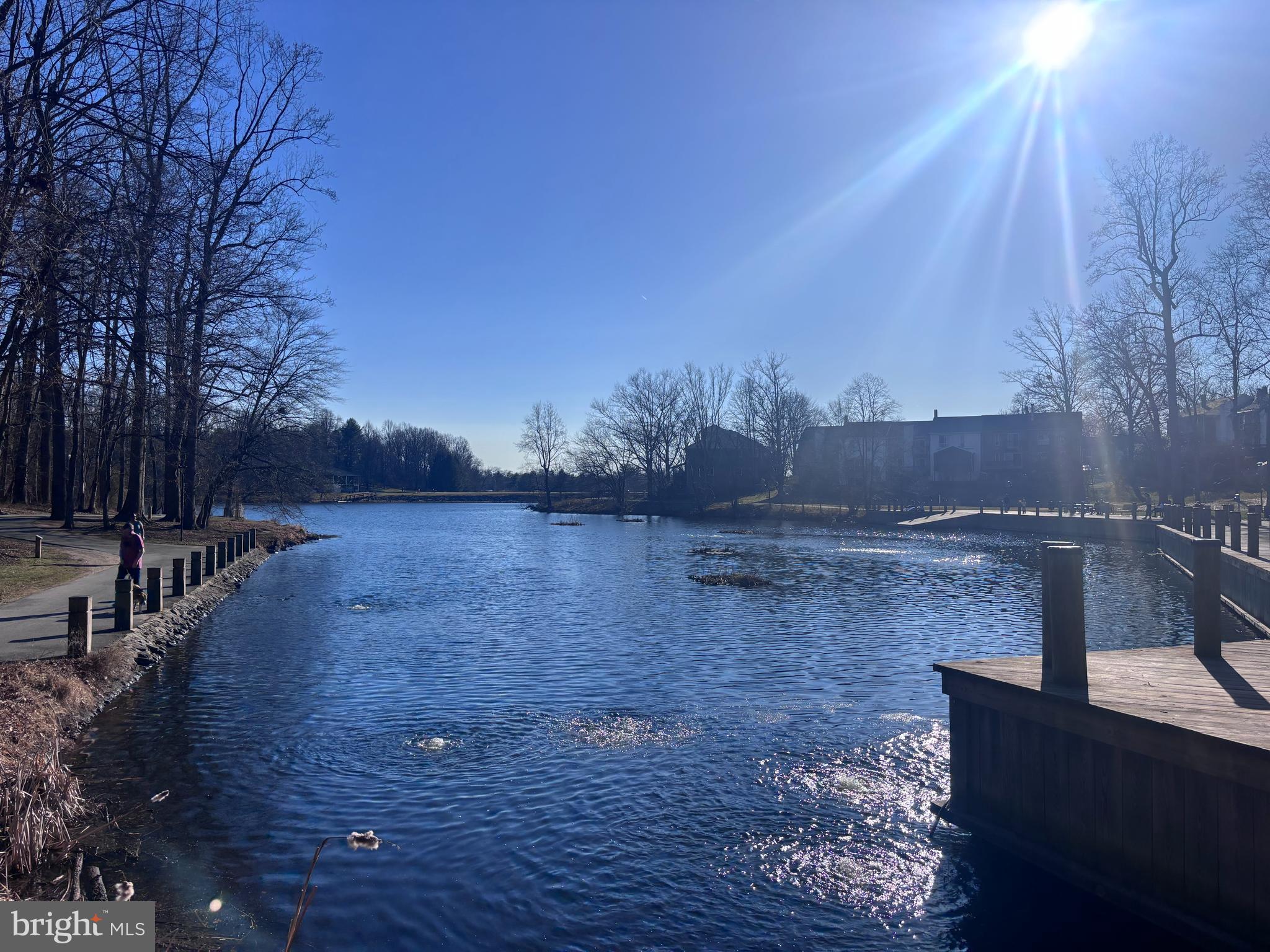 7263 Dockside Lane Columbia, MD 21045 - Photo 3 of 56 Lake Elkhorn is in your backyard!