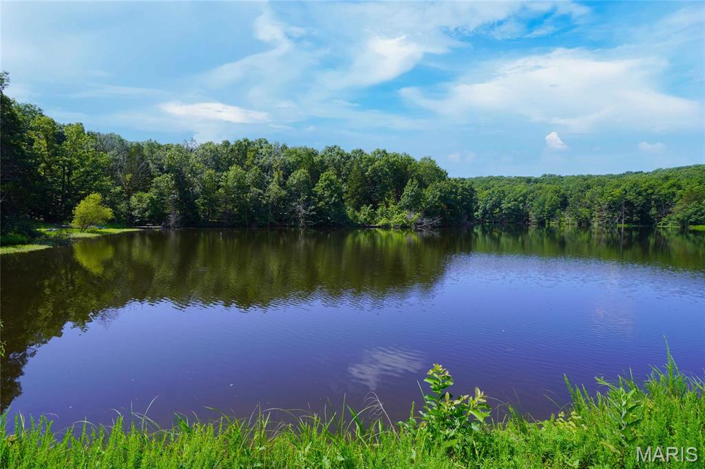 358 Hwy P Rhineland, MO 65069 - Photo 47 of 61