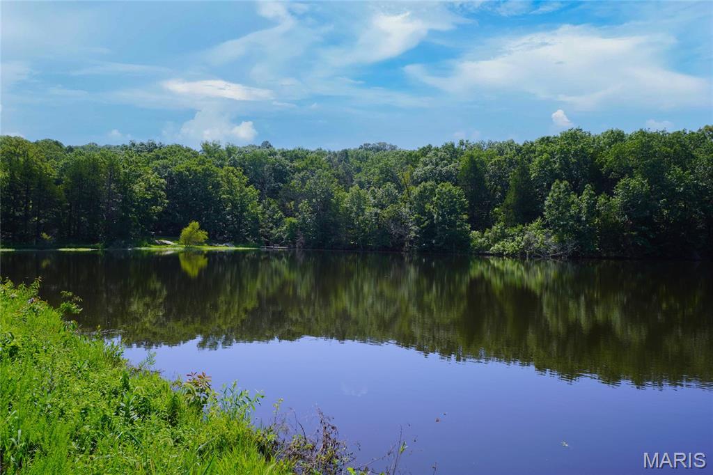 358 Hwy P Rhineland, MO 65069 - Photo 50 of 61