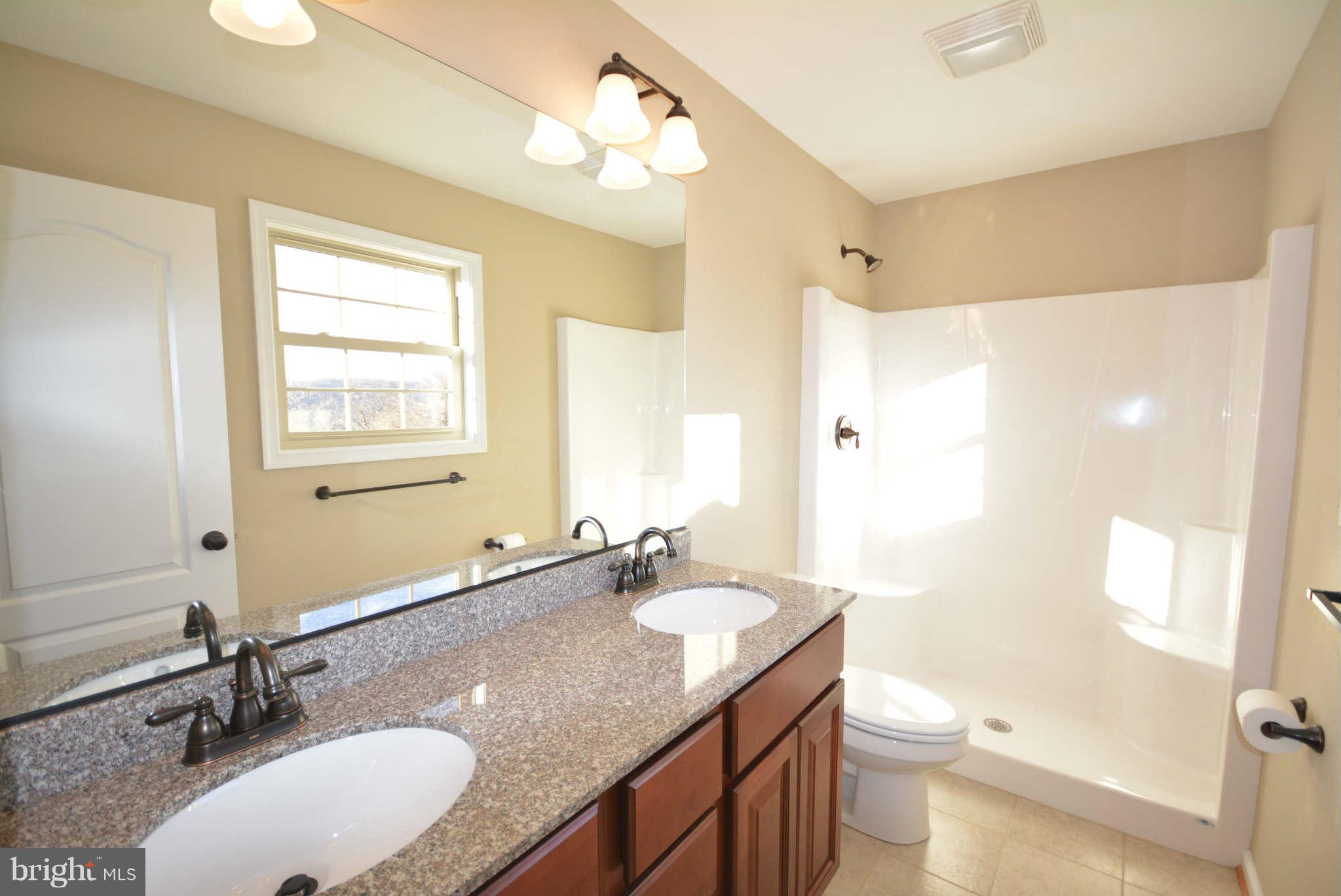 21 Granny Smith Road Linden, VA 22642 - Photo 22 of 30 Bath (Master)