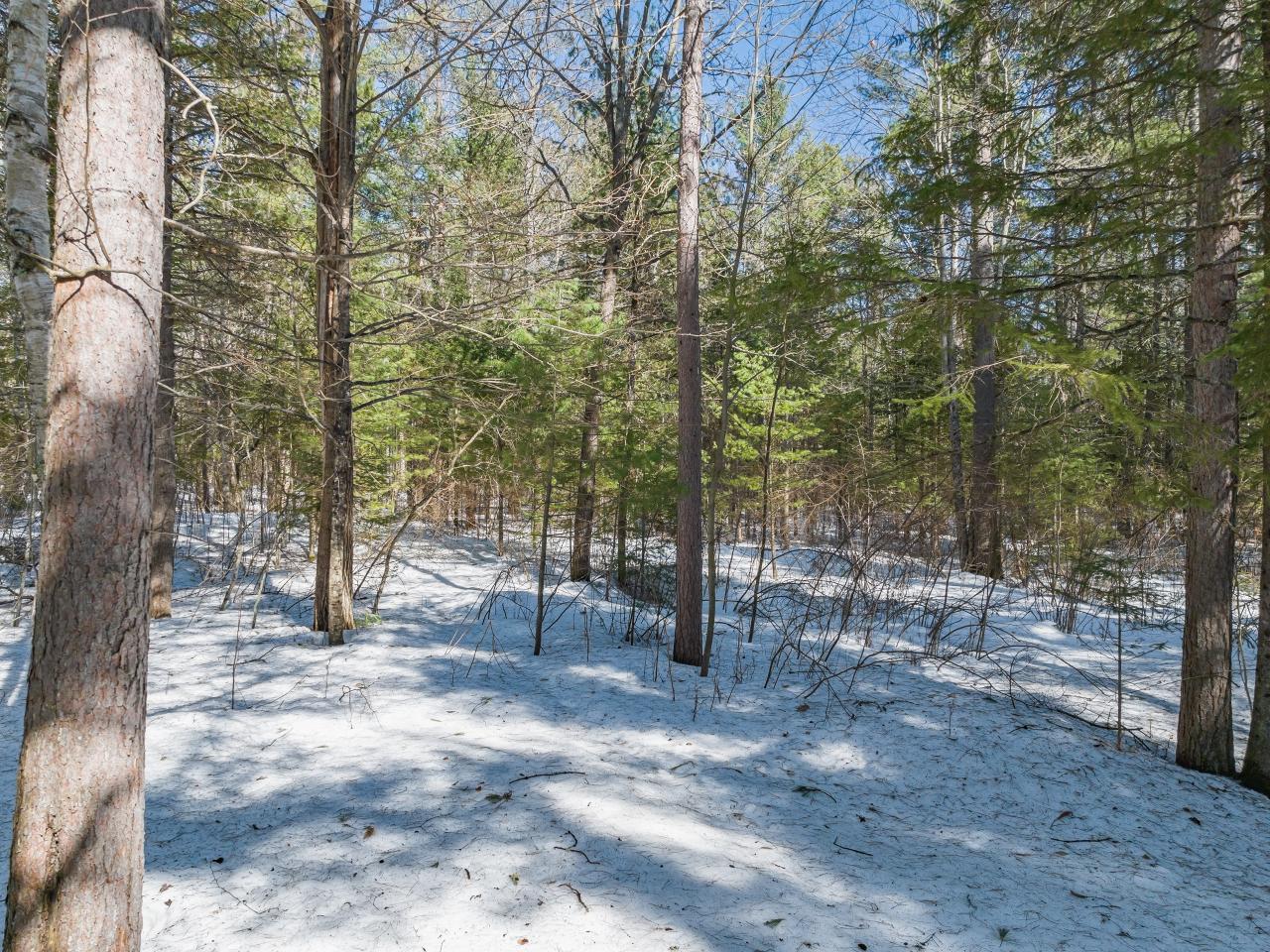 2717 9 Mile Road Eagle River, WI 54521 - Photo 35 of 38 Gallery Image 35