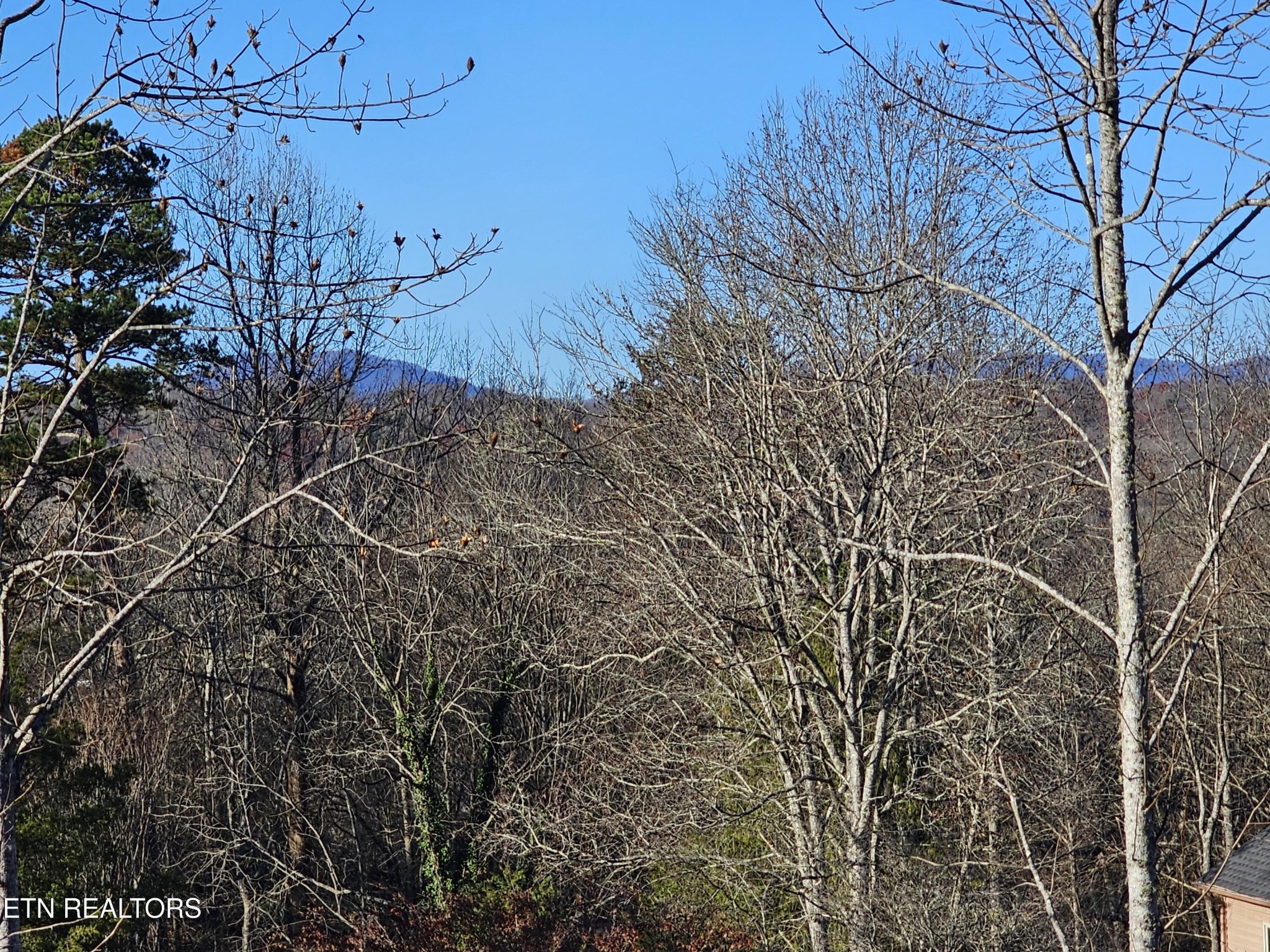 116 Chestnut Hill Road Oak Ridge, TN 37830 - Photo 47 of 55 Gallery Image 47
