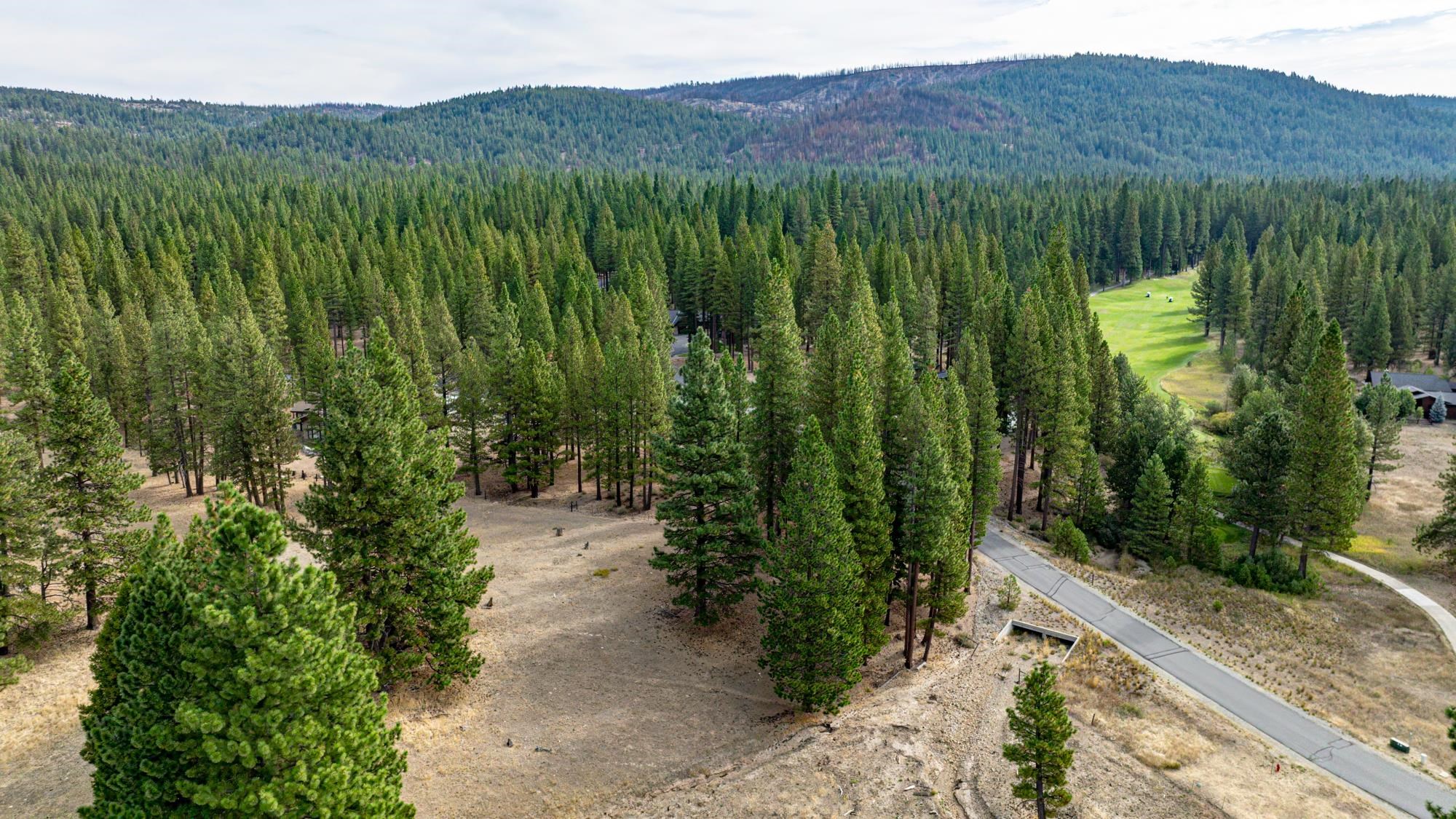 503 Redtail Loop Road Clio, CA 96106 - Photo 11 of 38
