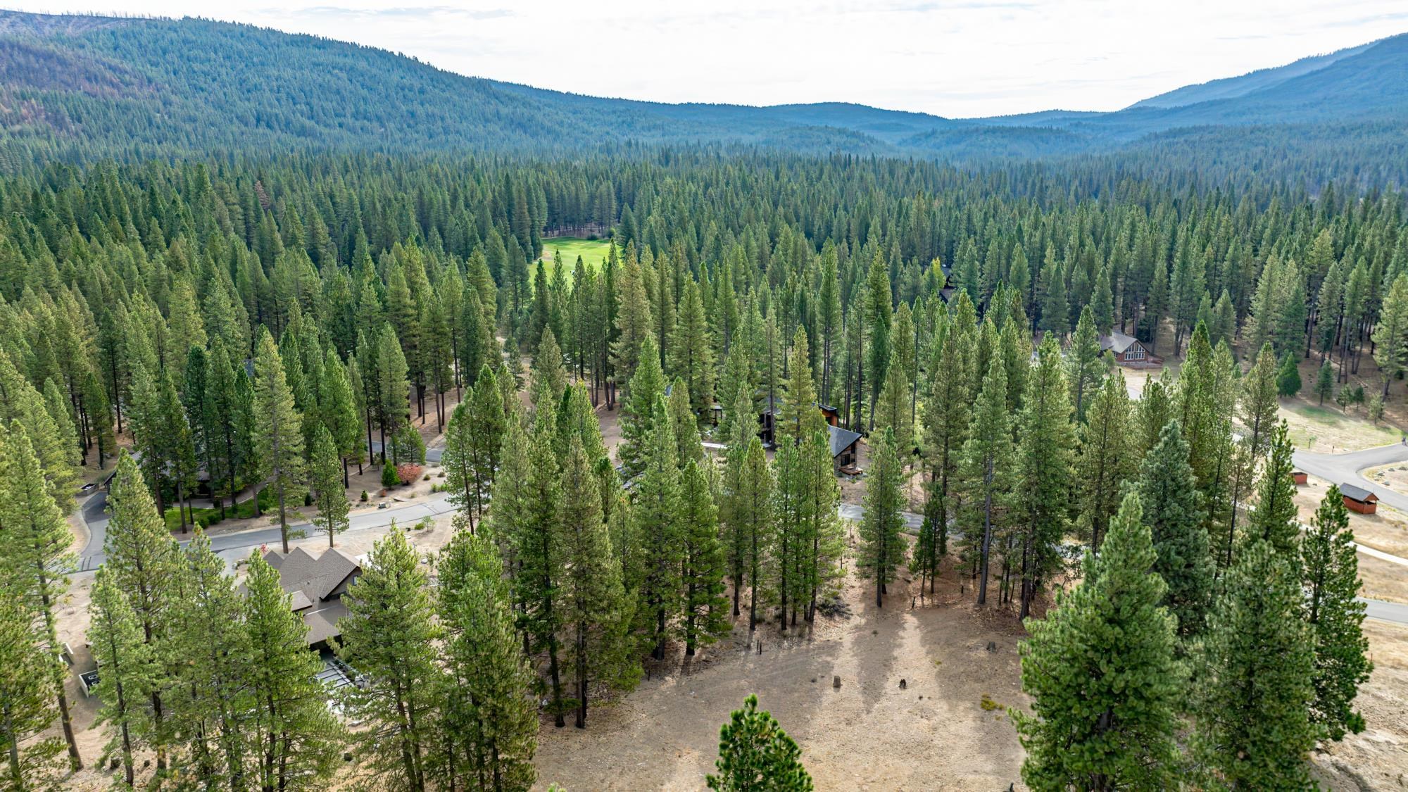 503 Redtail Loop Road Clio, CA 96106 - Photo 13 of 38