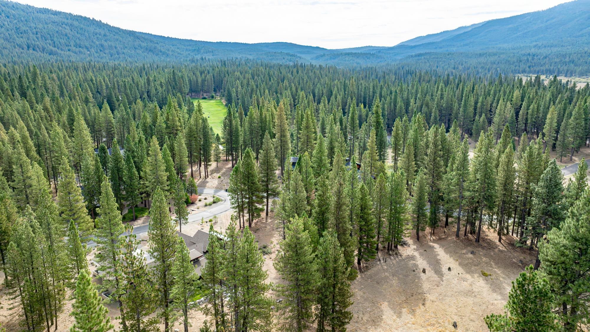 503 Redtail Loop Road Clio, CA 96106 - Photo 14 of 38