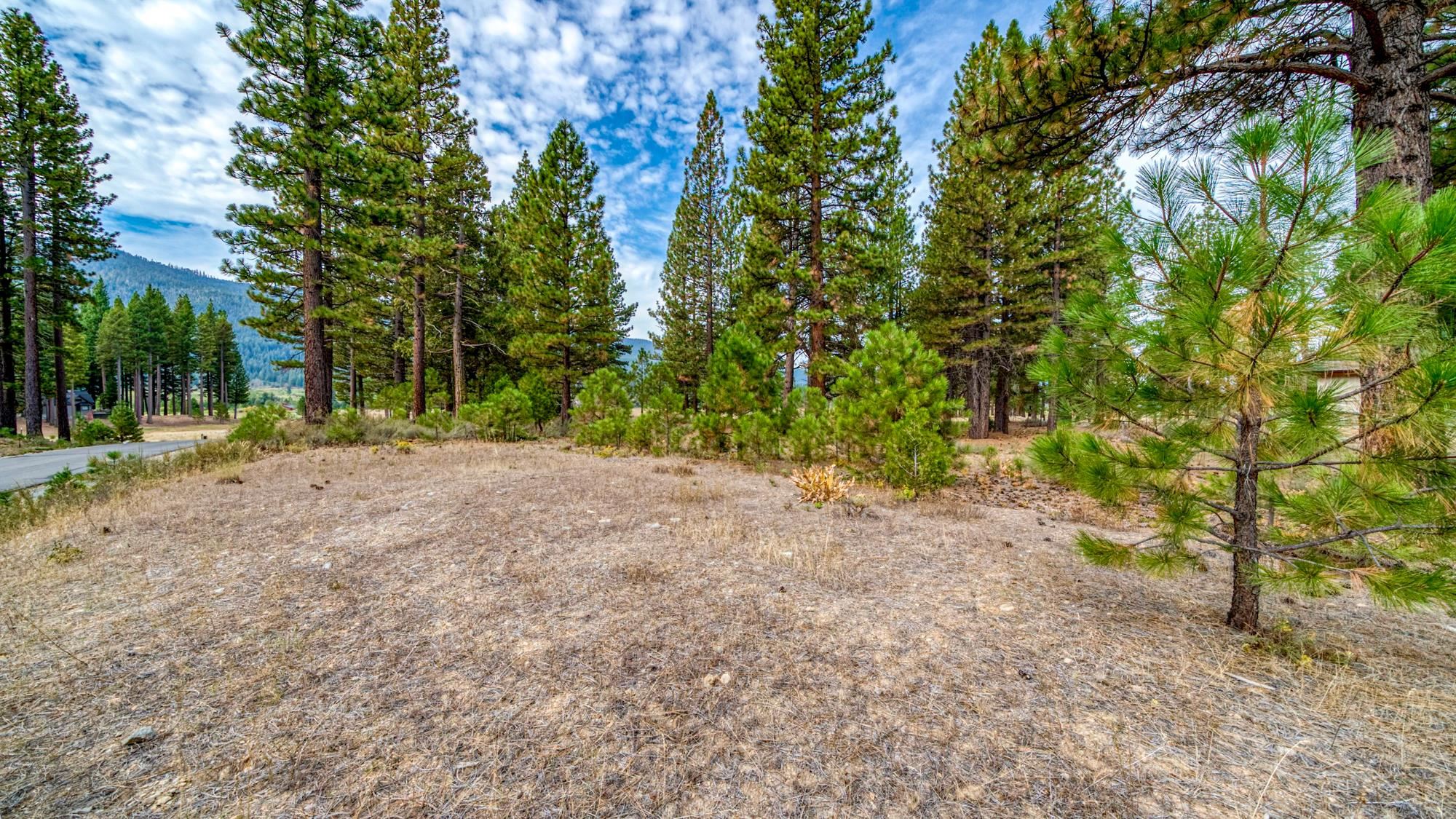 503 Redtail Loop Road Clio, CA 96106 - Photo 2 of 38